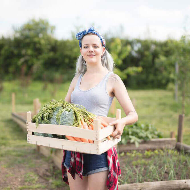 Avocado Seeds- Superfoods For Your Health